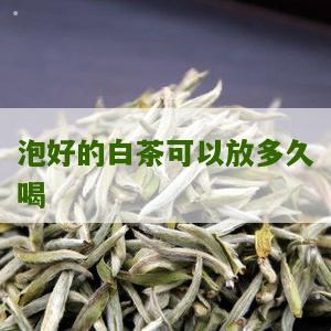 泡好的白茶可以放多久喝