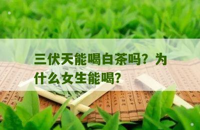 三伏天能喝白茶吗？为什么女生能喝？