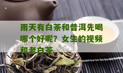 雨天有白茶和普洱先喝哪个好呢？女生的视频和老白茶