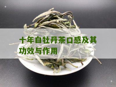 十年白牡丹茶口感及其功效与作用