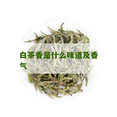 白茶香是什么味道及香气