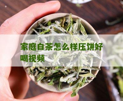 家庭白茶怎么样压饼好喝视频