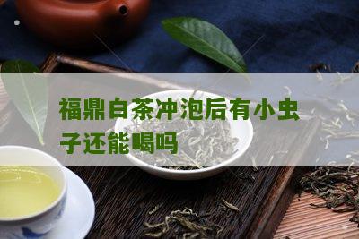 福鼎白茶冲泡后有小虫子还能喝吗