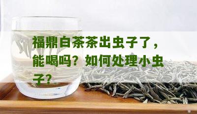 福鼎白茶茶出虫子了，能喝吗？如何处理小虫子？