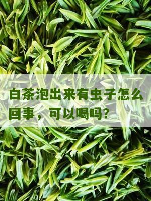 白茶泡出来有虫子怎么回事，可以喝吗？