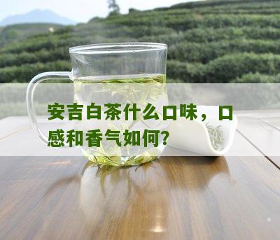 安吉白茶什么口味，口感和香气如何？