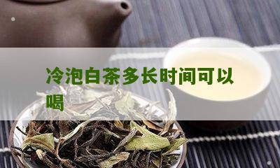 冷泡白茶多长时间可以喝