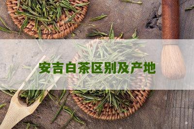 安吉白茶区别及产地