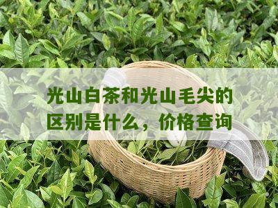 光山白茶和光山毛尖的区别是什么，价格查询