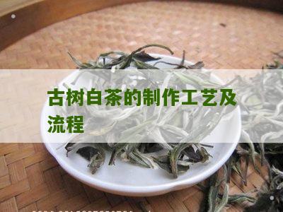 古树白茶的制作工艺及流程