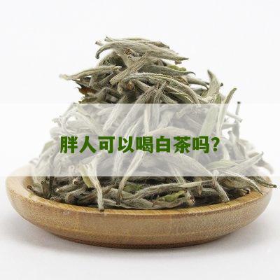 胖人可以喝白茶吗？