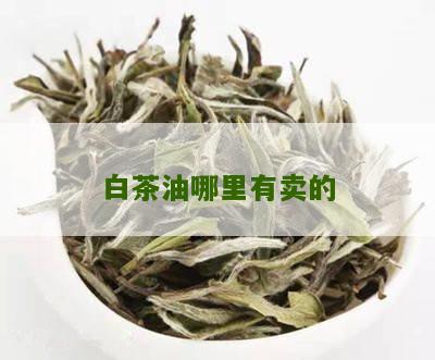 白茶油哪里有卖的