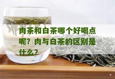 肉茶和白茶哪个好喝点呢？肉与白茶的区别是什么？