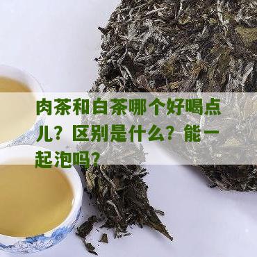 肉茶和白茶哪个好喝点儿？区别是什么？能一起泡吗？