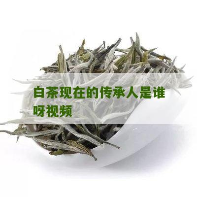 白茶现在的传承人是谁呀视频