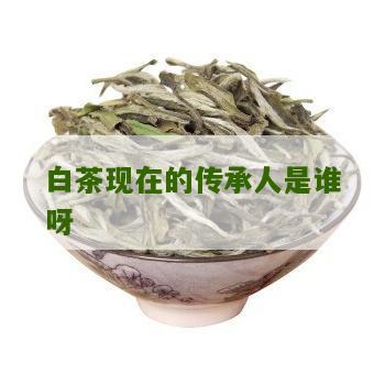 白茶现在的传承人是谁呀