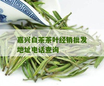 嘉兴白茶茶叶经销批发地址电话查询