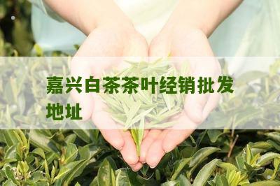 嘉兴白茶茶叶经销批发地址