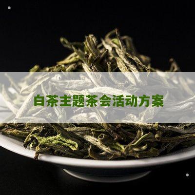 白茶主题茶会活动方案