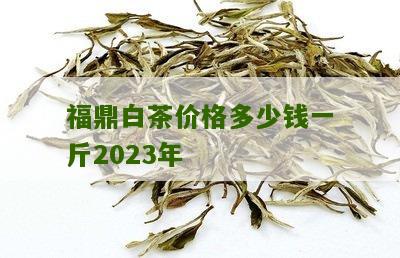 福鼎白茶价格多少钱一斤2023年