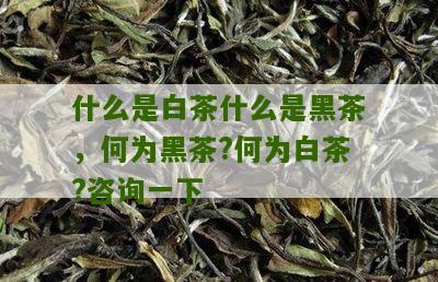 什么是白茶什么是黑茶，何为黑茶?何为白茶?咨询一下