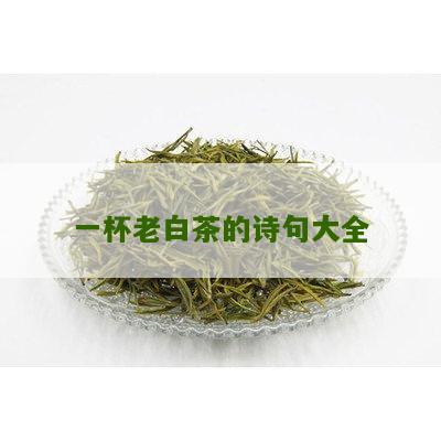 一杯老白茶的诗句大全