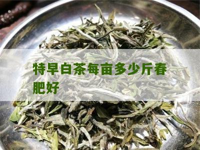 特早白茶每亩多少斤春肥好