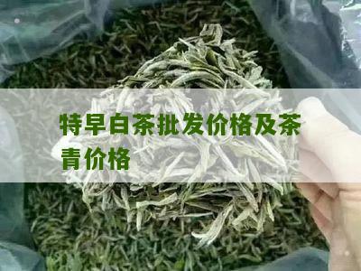 特早白茶批发价格及茶青价格