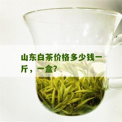 山东白茶价格多少钱一斤，一盒？