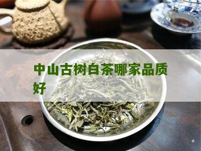 中山古树白茶哪家品质好