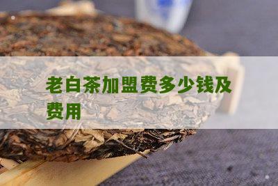 老白茶加盟费多少钱及费用