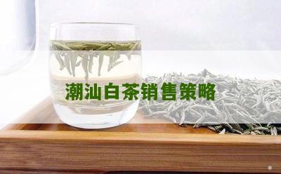 潮汕白茶销售策略