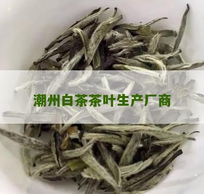 潮州白茶茶叶生产厂商