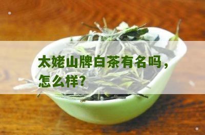 太姥山牌白茶有名吗，怎么样？