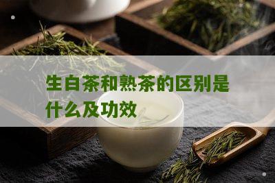 生白茶和熟茶的区别是什么及功效