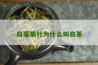 白毫银针为什么叫白茶