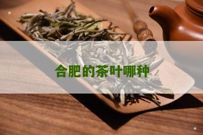 合肥的茶叶哪种