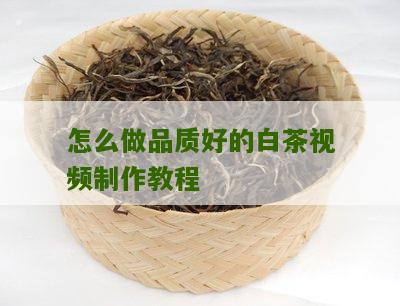 怎么做品质好的白茶视频制作教程