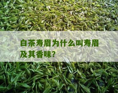 白茶寿眉为什么叫寿眉及其香味？