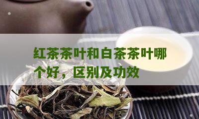 红茶茶叶和白茶茶叶哪个好，区别及功效