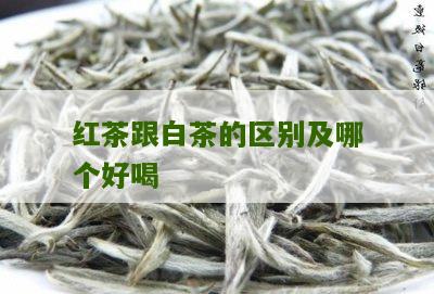 红茶跟白茶的区别及哪个好喝