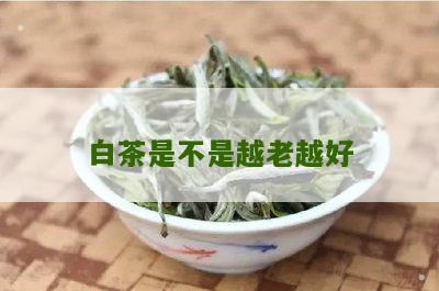 白茶是不是越老越好