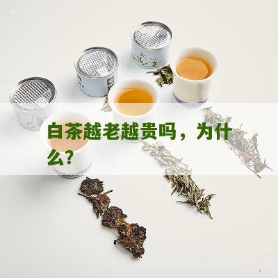 白茶越老越贵吗，为什么？