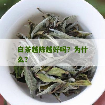 白茶越陈越好吗？为什么？