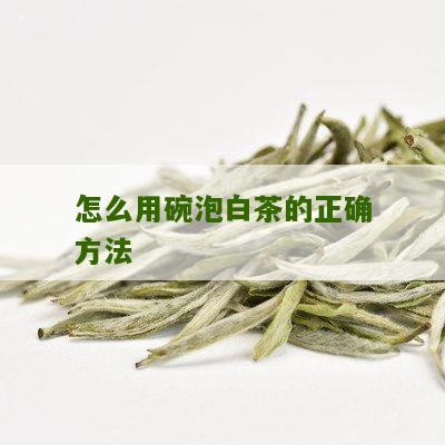 怎么用碗泡白茶的正确方法