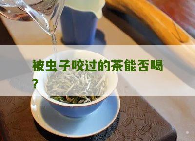 被虫子咬过的茶能否喝？