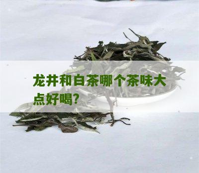 龙井和白茶哪个茶味大点好喝?