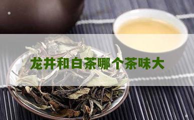 龙井和白茶哪个茶味大