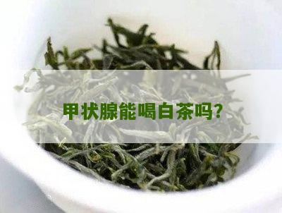 甲状腺能喝白茶吗？