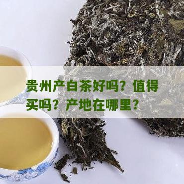 贵州产白茶好吗？值得买吗？产地在哪里？